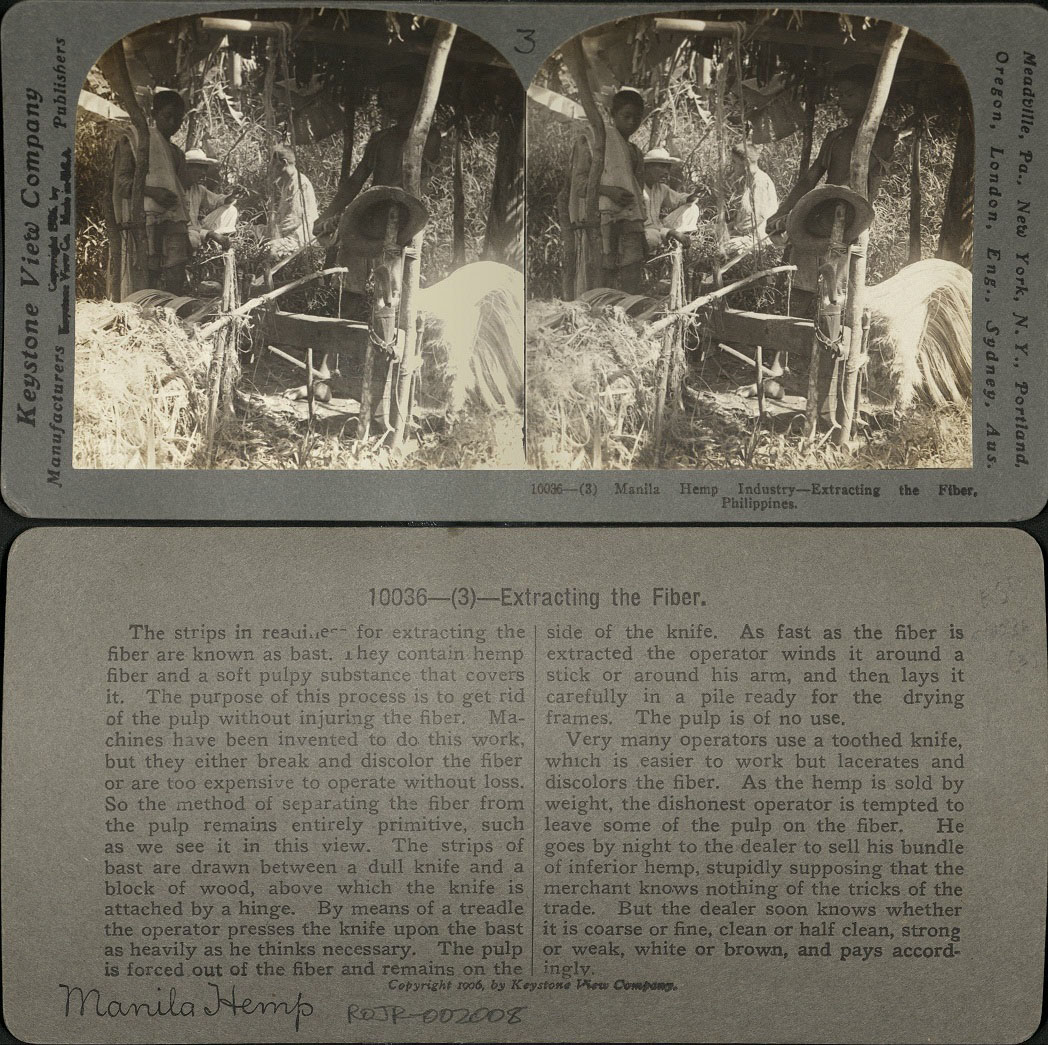 Manila Hemp Industry – Extracting the Fiber, Philippines.